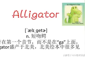 英语绘本里的动物名字，你读的都对么？图片