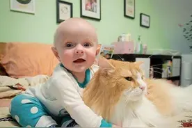 前方有猫出没，孕妈妈要小心慢行图片