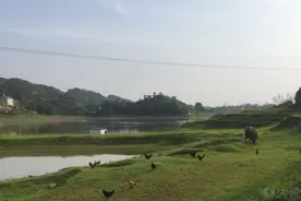 重庆夏季10大钓鱼圣地 周末悠闲耍一天图片