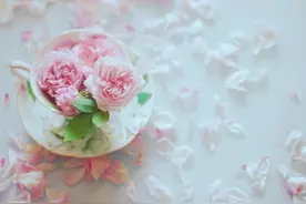 我辍学打工供养弟弟，因为拒绝帮弟弟买房，妈妈的话让我痛心图片