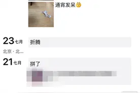 这样狗狗你舍得卖？虽然50元却换来它1生陪伴，1800我不买图片