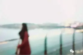 你听过那只没有脚的鸟儿，那你见过没有翅膀的鸟儿吗？图片
