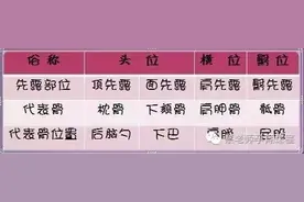 解密胎位暗号！22种胎儿体位全图示~图片