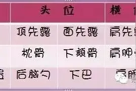 解密胎位暗号！22种胎儿体位全图示~图片