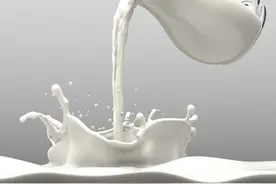 蟑螂奶未来或成为食品图片