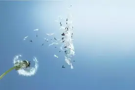 和你去远方图片