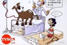 撞伤是怎么引起 皮肤变色的？图片