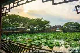 干货来了！关于无锡旅游的100个常识，有多少是你不知道的？图片