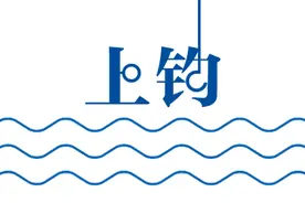 钓手吃掉世界纪录，一见鲜鱼误终身图片