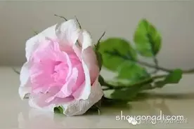 简单皱纹纸牡丹花的做法,做一次才无憾图片