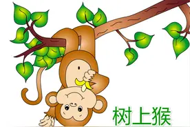 阿里云域名交易上线，猴年域名投资火爆图片
