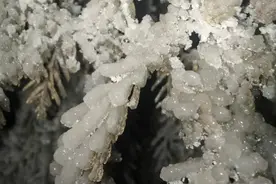 隆回2016年的第一场雪 22日凌晨飘洒视频图片