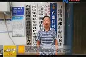 抓党建促扶贫张洁涛：我为安阳县白壁镇西邵科村代言视频封面