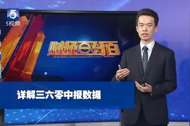三六零上半年净利增40%视频封面