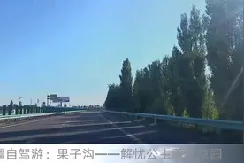 新疆自驾：果子沟——解忧公主薰衣草园图片