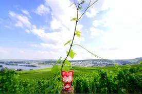 阿狸踏上旅途 在德国丹麦与童话相遇图片