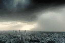 最酷炫的避雨方式，不是如何乘风破浪，而是不用看海打船图片