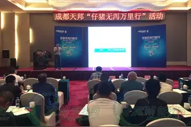 控制仔猪腹泻，还有这些你想不到的细节图片