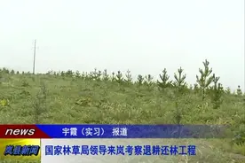 国家林草局领导来岚县考察退耕还林工程视频封面