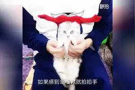 生无可恋的猫咪给大家带来一首拍手歌图片