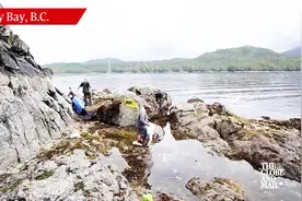鲸鱼搁浅在了礁石上，幸亏遇到这群好心人，坚持到了涨潮，好有爱图片