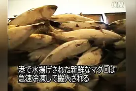 十年前日本的罐头制作全过程，看完感觉流程无可挑剔图片