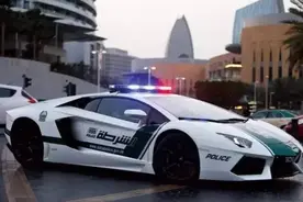 迪拜的野心图片