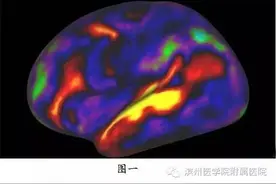 〔链接新发现〕最新人类大脑图谱，看到近百个以前未知功能区！图片