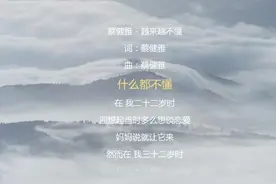 蔡健雅《越来越不懂》得不到的就更加爱 太容易来的就不理睬视频封面