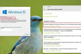 Windows 10累积更新KB3124263用户无法安装解决方法图片