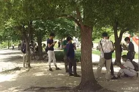 日媒:《口袋妖怪GO》大红大紫 韩国不服将用山寨竞争图片