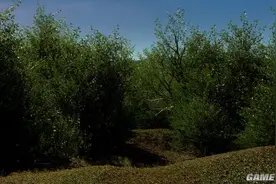 虚幻4引擎打造真实自然场景 电脑已爆炸图片