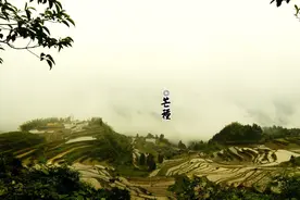 青梅的味道，是年轻的味道|风物志图片