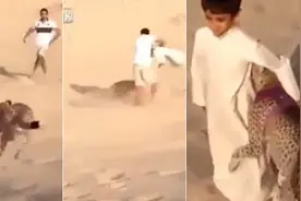 捏把汗!男孩与猎豹亲密嬉戏图片
