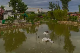 西安茯茶小镇图片