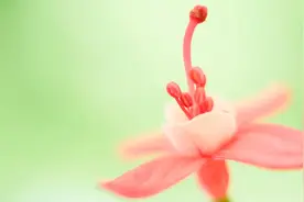 还记得你当年发过的誓言吗图片