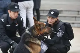 警花与警犬那些感动的瞬间图片
