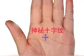 手掌纹理线带给我们的运势，不得不懂 。图片