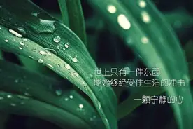 被丈夫抛弃后，我独自创业，几年后偶遇前任婆婆，她让我泪流满面图片