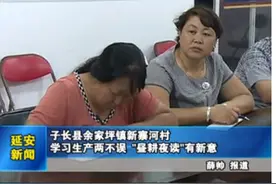 子长：余家坪镇新寨河村  学习生产两不误 “昼耕夜读”有新意图片
