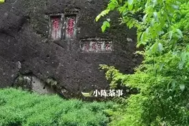 茶谈 | 英雄莫问出处，肉桂不论山场！图片