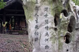 山本无忧，因雪白头！你许一个他，我四海为家！图片