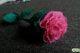 手把手教大家制作玫瑰图片