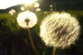 失去或许比拥有更好图片