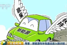 新能源车补贴退出进入倒计时 今年买车少补贴3.65万图片