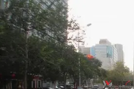 神州泰岳股东拟最高减持1300万股图片