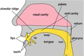 英语发音不标准怎么办？图片
