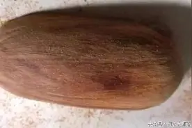 海边玩耍捡块木头做只金蝉把件，盘玩别有一番趣味！图片