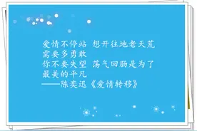 那些和爱有关的歌词，教给我们的道理图片