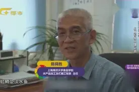 “淡水三文鱼”含有寄生虫？权威专家一锤定音，赶紧看！视频封面
